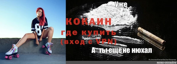 хмурый Абаза