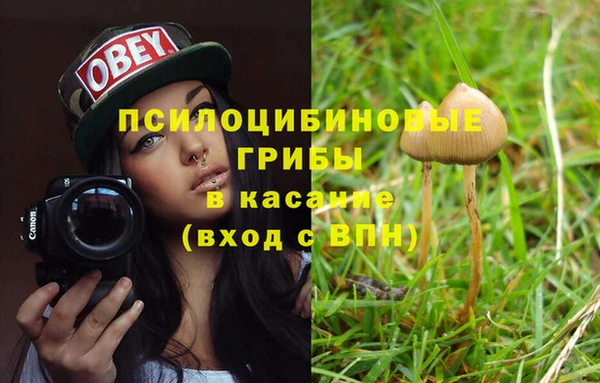 хмурый Абаза