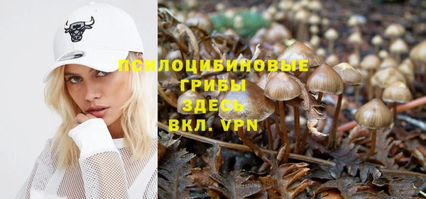 хмурый Абаза