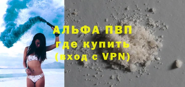 хмурый Абаза